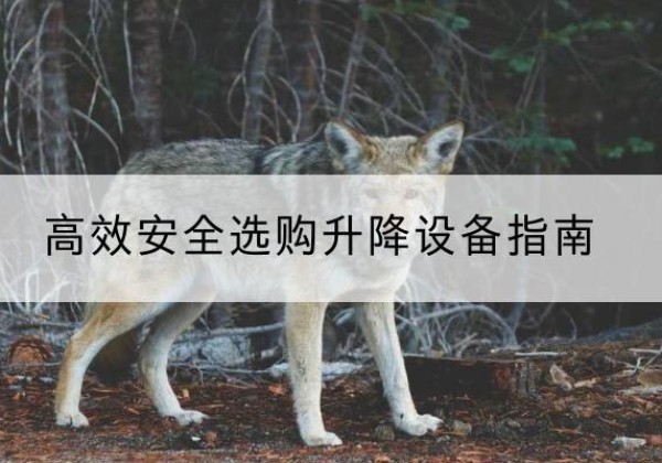 钦北升降货梯厂家推荐-*安全选购升降设备指南