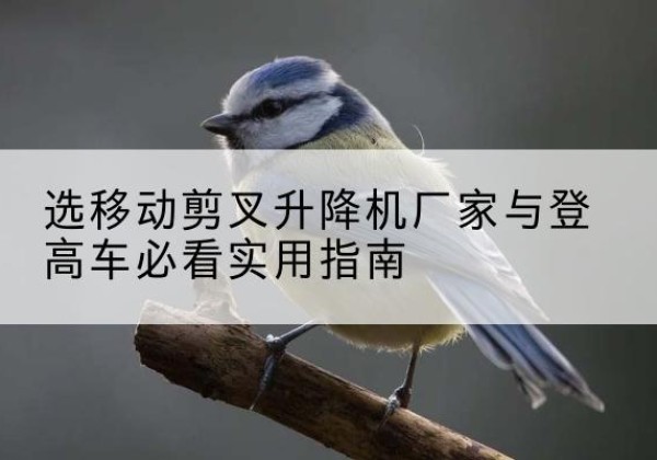 钦北电动升降机厂家-选移动剪叉升降机厂家与登高车必看实用指南