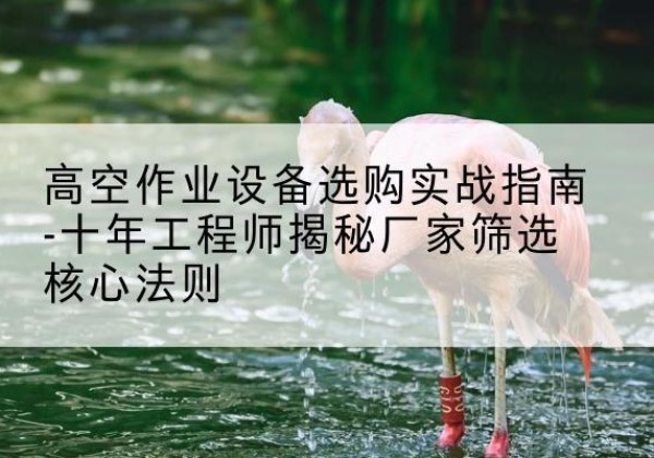 钦北剪叉式升降机厂家-高空作业设备选购实战指南-十年工程师揭秘厂家筛选核心法则
